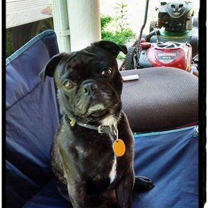 Meet your Posher, Ted